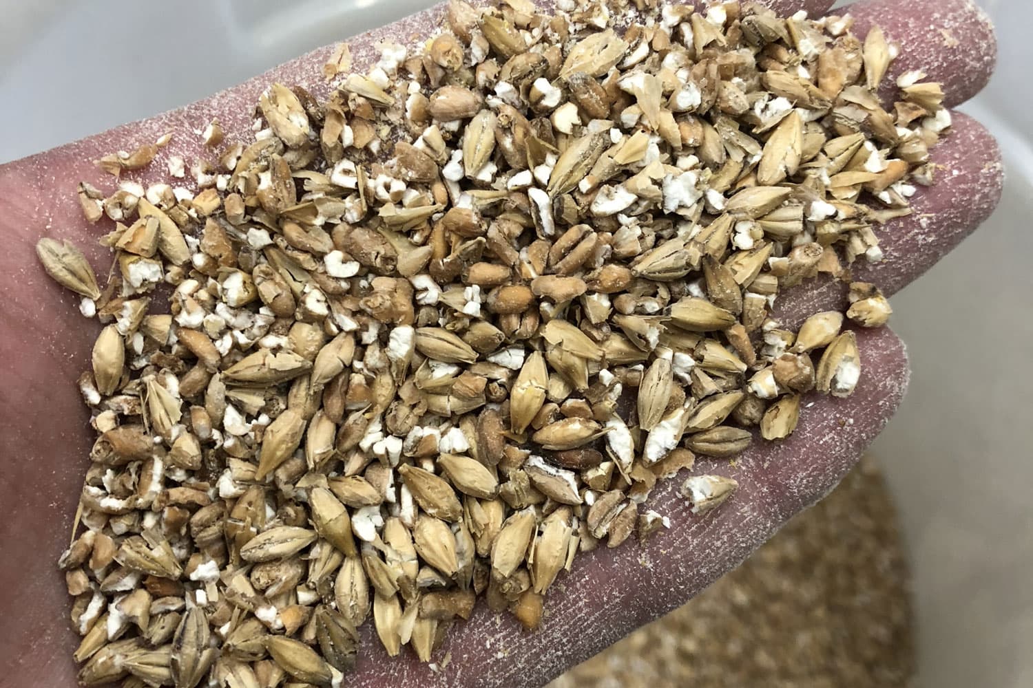 モルト(麦芽)を破砕